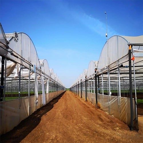 gruppo di serre con copertura in film plastico