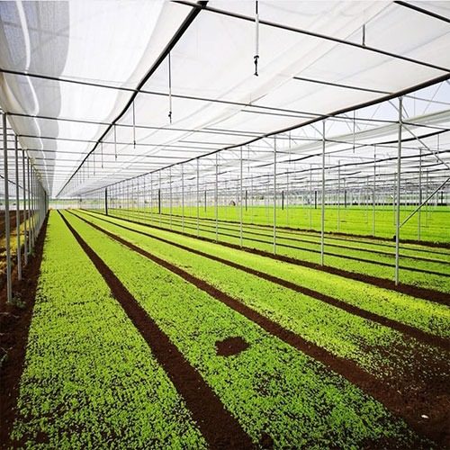 serre per agricoltura